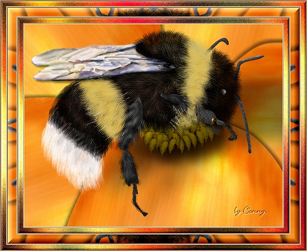 hummel1
